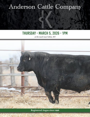 Anderson Cattle Company Annual Bull Sale