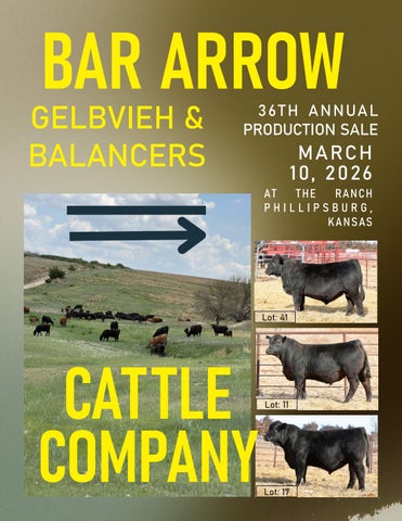 Bar Arrow 36th Annual Production Sale