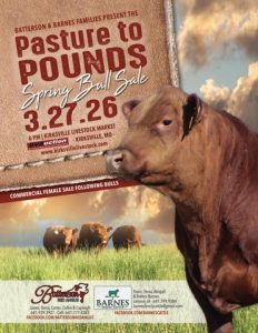 Batterson Red Angus Pasture To Pounds Bull Sale