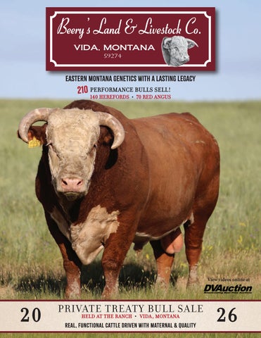 Beery's Land and Livestock Co. Private Treaty Bull Sale