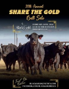 Black Gold Genetics 20th Annual Share the Gold Bull Sale
