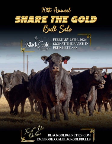 Black Gold Genetics 20th Annual Share the Gold Bull Sale