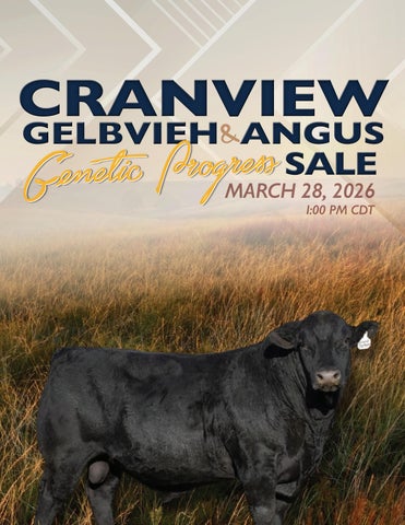 Cranview Gelbvieh & Angus Genetic Program Sale