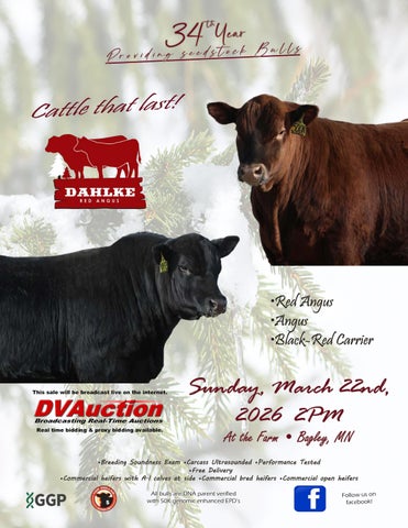 Dahlke Red Angus Annual Production Sale