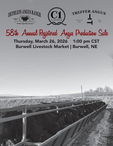 Dethlefs/Treffer Angus Ranch 58th Annual Registered Angus Production Sale