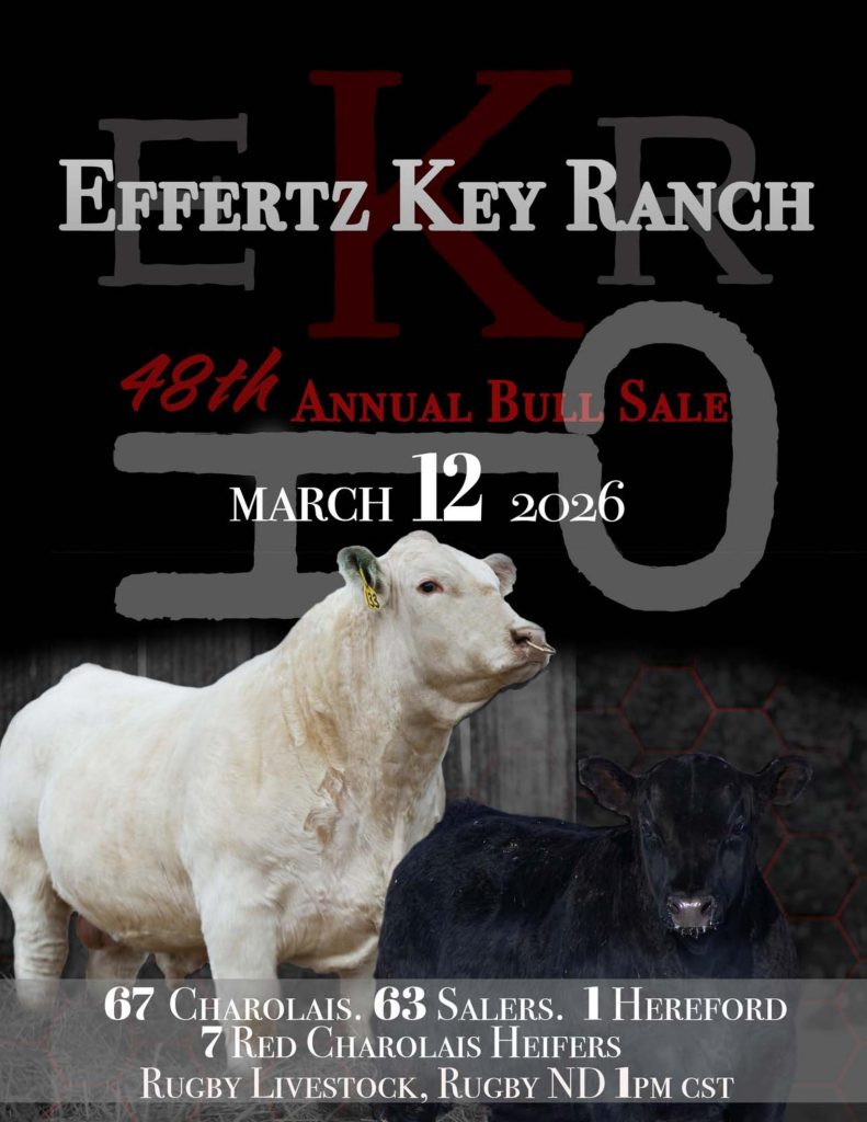 Effertz Key Ranch 48th Annual Bull Sale