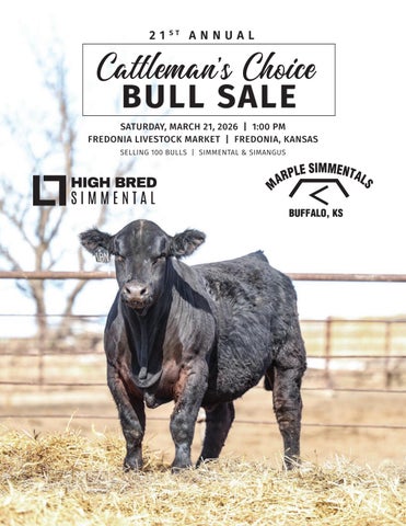 High-Bred Simmentals 21st Annual Cattleman's Choice Sale