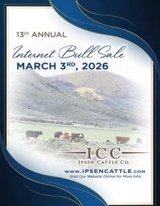 Ipsen Cattle Company – 2026 13th Annual Internet Bull Sale Catalog