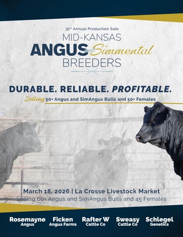 Mid-Kansas Angus and Simmental Breeders 31st Annual Production Sale