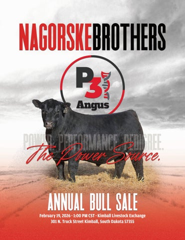 Nagorske Brothers Angus Annual Bull Sale