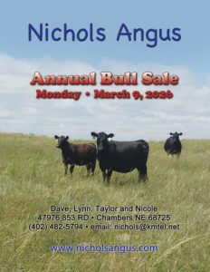 Nichols Angus Annual Bull Sale