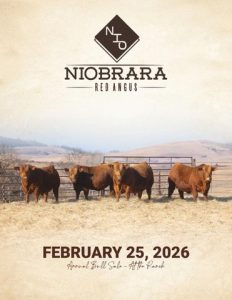 Niobrara Red Angus Annual Bull Sale