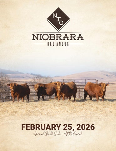 Niobrara Red Angus Annual Bull Sale