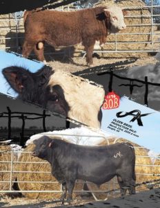 Oleen Bros. Production Sale