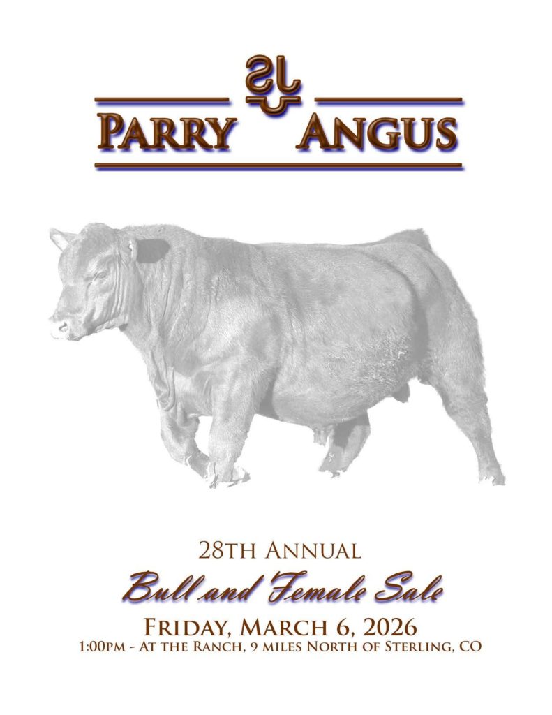 Parry Angus 28th Annual Bull and Female Sale