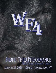 Profit Through Performance Bull and Female Sale
