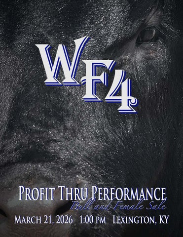 Profit Through Performance Bull and Female Sale