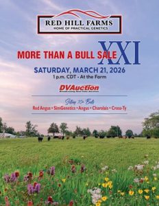 Red Hill Farms XXI More Than A Bull Sale