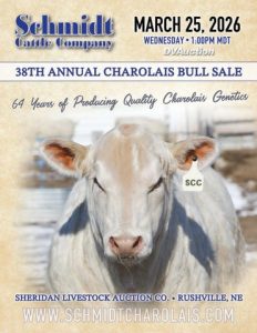 Schmidt Cattle 38th Annual Charolais Bull Sale