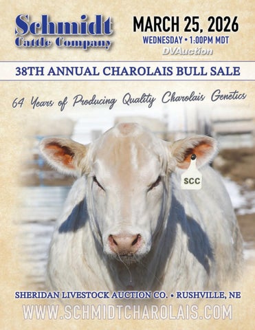 Schmidt Cattle 38th Annual Charolais Bull Sale
