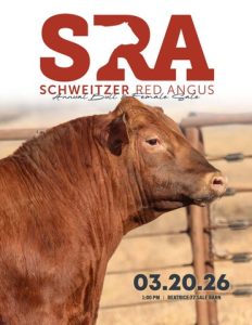 Schweitzer Red Angus Spring Bull & Female Sale