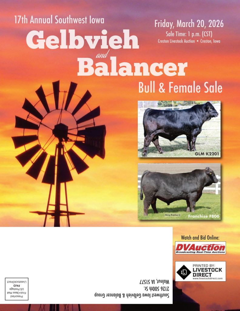 Southwest Iowa Gelbvieh & Balancer 17th Annual Bull & Female Sale