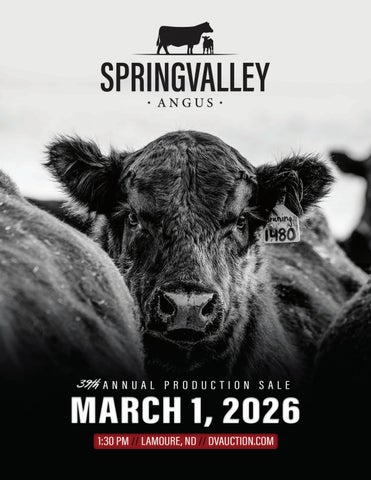Spring Valley Angus 39th Annual Production Sale