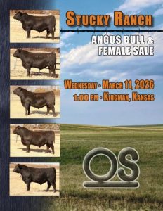 Stucky Ranch Angus Bull & Female Sale