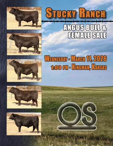 Stucky Ranch Angus Bull & Female Sale