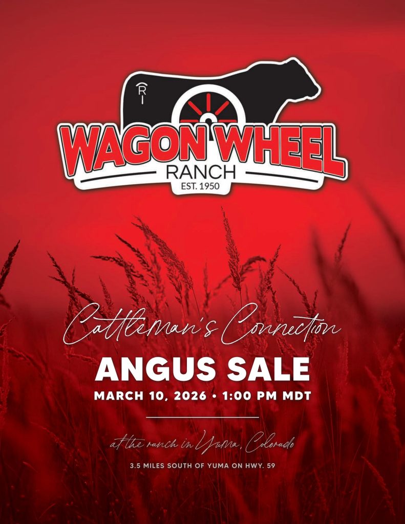 Wagon Wheel Ranch Cattlemen's Connection Angus Sale