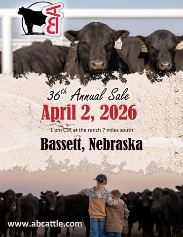 A & B Cattle Company 36th Annual Sale
