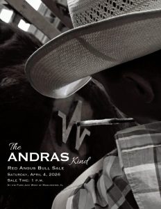 Andras Stock Farm – The Andras Kind Red Angus Bull Sale