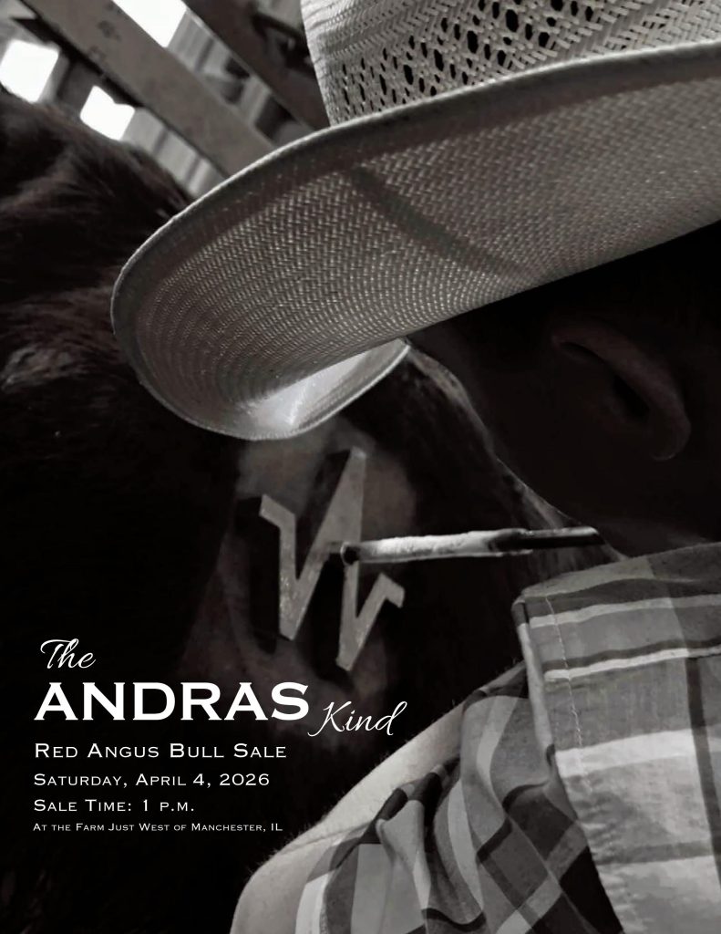 Andras Stock Farm - The Andras Kind Red Angus Bull Sale
