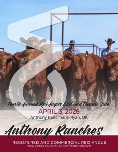 Anthony Ranches 4th Annual Red Angus Bull and Female Sale