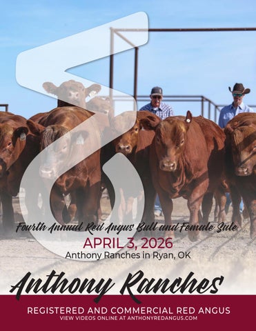 Anthony Ranches 4th Annual Red Angus Bull and Female Sale