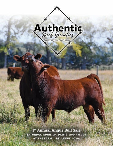 Authentic Beef Genetics 1st Annual Angus Bull Sale