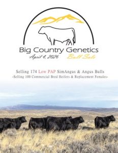 Big Country Genetics Bull Sale