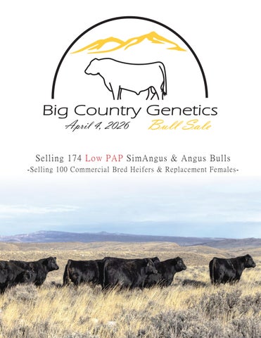 Big Country Genetics Bull Sale