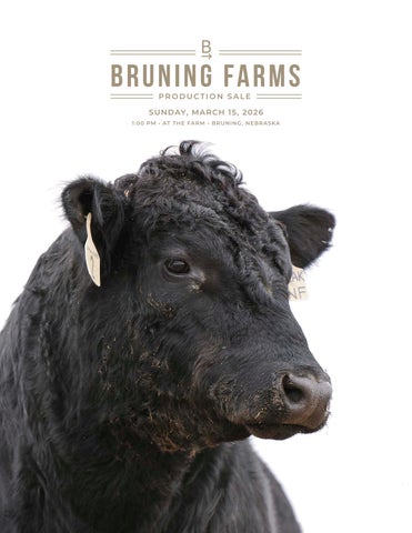 Bruning Farms Production Sale