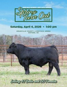 Green Hills Gelbvieh & Hope Cattle Services Spring Turn Out Sale