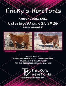 Hereford American Tricky’s Herefords 2026 Annual Bull Sale