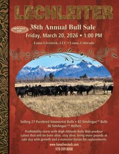 Lechleiter Simmental 38th Annual Bull Sale