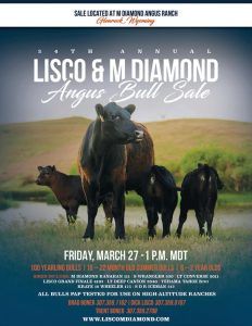 Lisco & M Diamond 34th Annual Angus Bull Sale