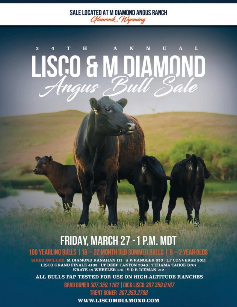 Lisco & M Diamond 34th Annual Angus Bull Sale