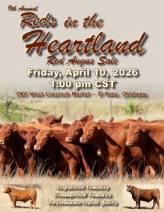 Oklahoma Red Angus Association 9th Annual Reds in the Heartland Red Angus Sale