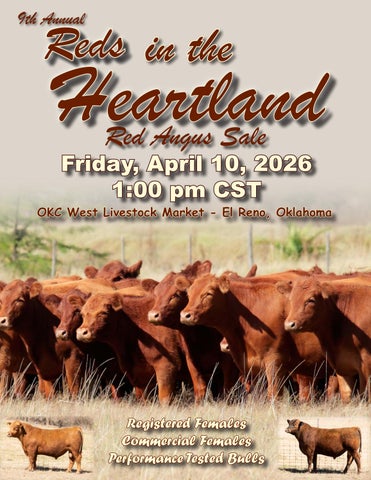 Oklahoma Red Angus Association 9th Annual Reds in the Heartland Red Angus Sale