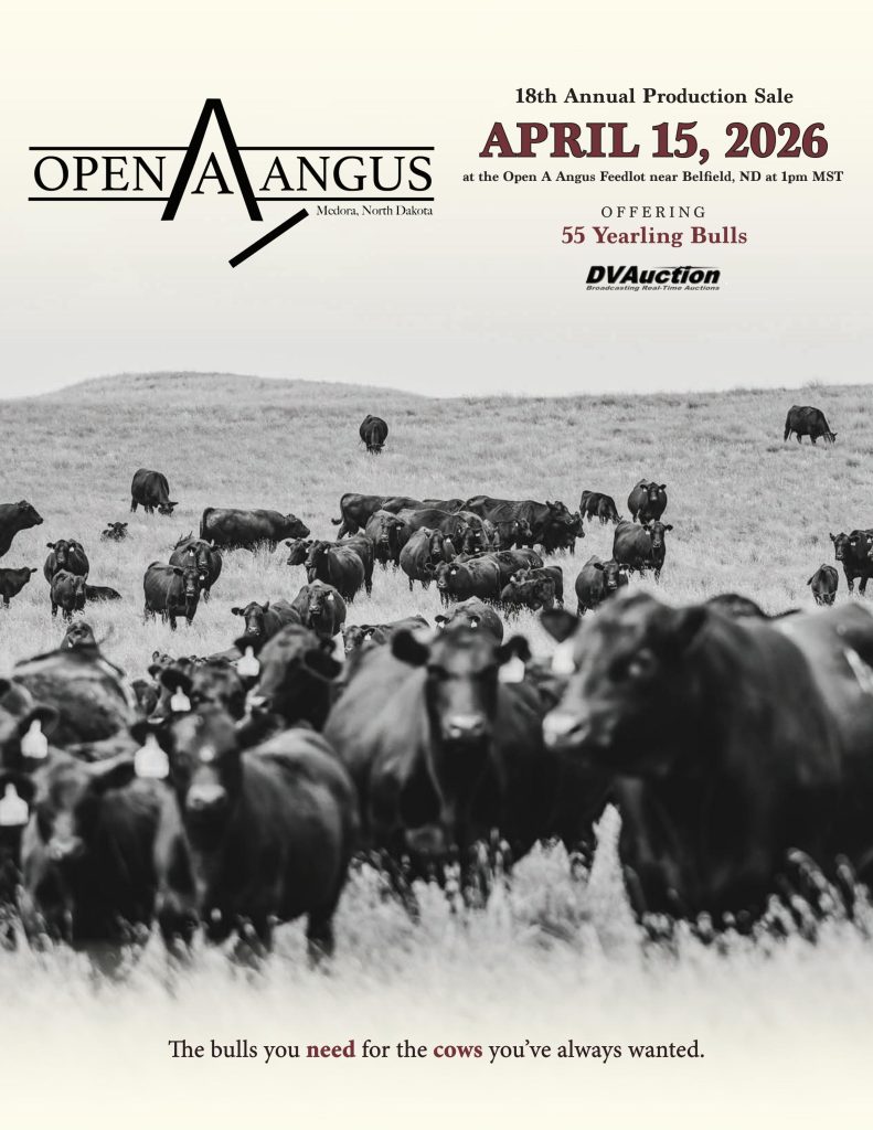 Open A Angus 18th Annual Production Sale Catalog