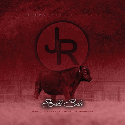 Reisdorfer Red Angus Bull Sale