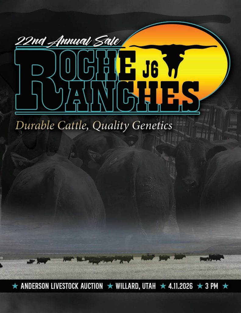 Roche Ranches 22nd Annual Sale