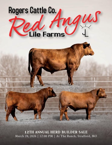 Rogers Red Angus 12th Annual Herd Builder Sale
